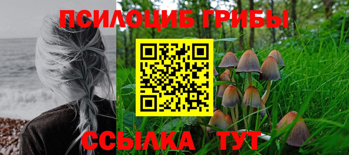 Галлюциногенные грибы Cubensis  Вход с VPN  Камышлов  Галлюциногенные грибы Cubensis 
